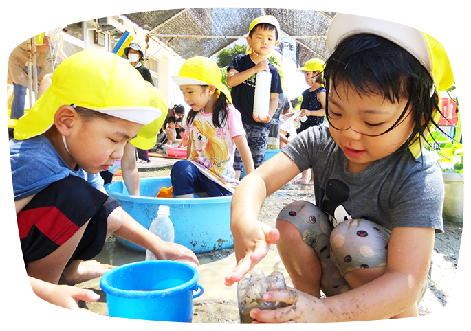 杉の木台こども園｜福井市の認定こども園